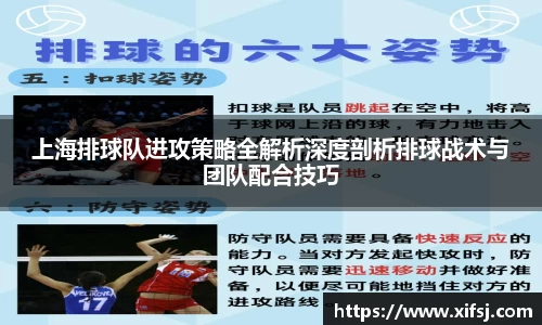 上海排球队进攻策略全解析深度剖析排球战术与团队配合技巧