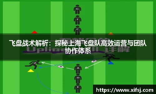 飞盘战术解析：探秘上海飞盘队高效运营与团队协作体系
