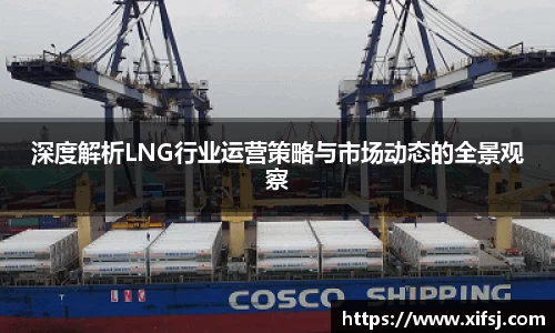 深度解析LNG行业运营策略与市场动态的全景观察