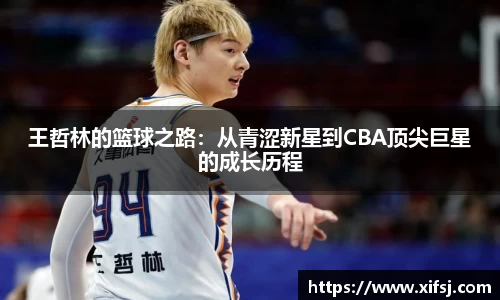 王哲林的篮球之路：从青涩新星到CBA顶尖巨星的成长历程